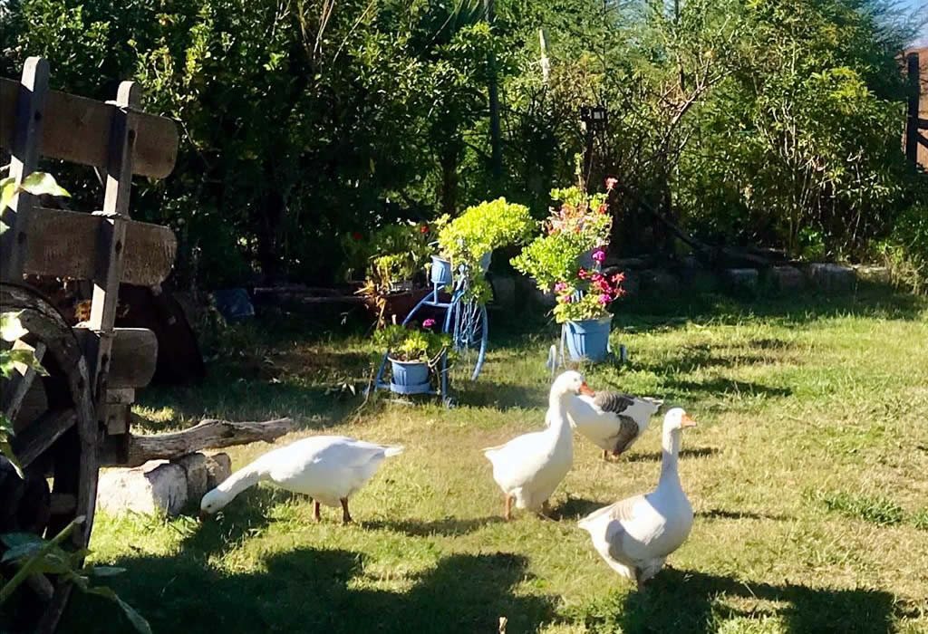 Hotel Vendimia Parador